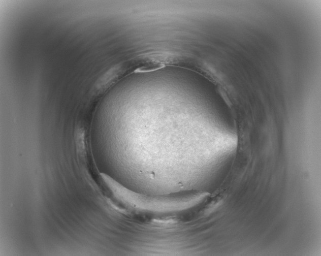 X0000066090117200603131214