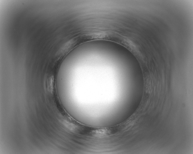 X0000066090118200603131214