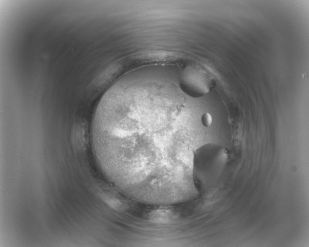 X0000066090119200603131214