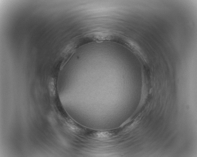 X0000066090121200603131214