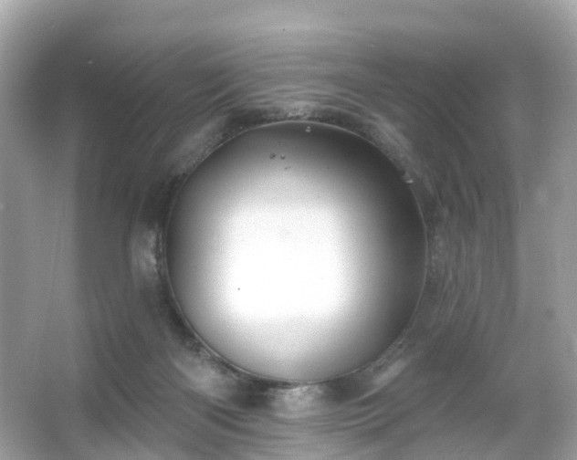 X0000066090122200603131214