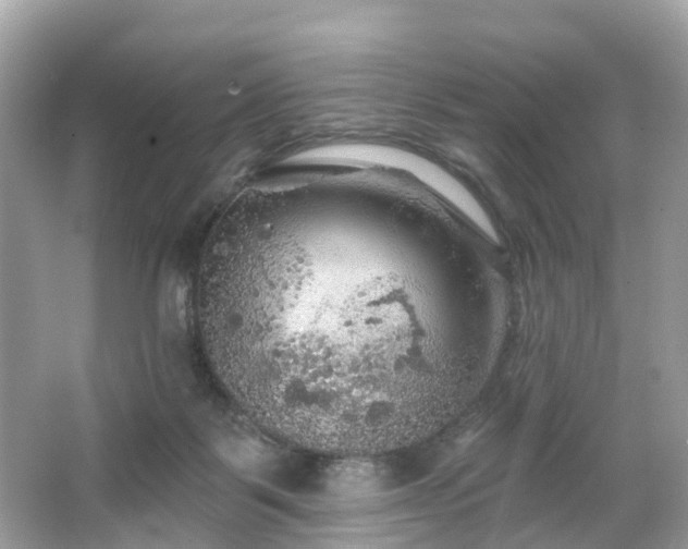 X0000066090123200603131214