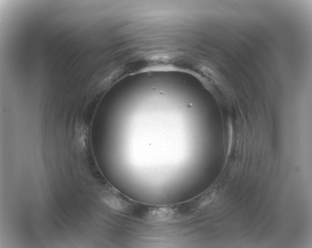 X0000066090125200603131214