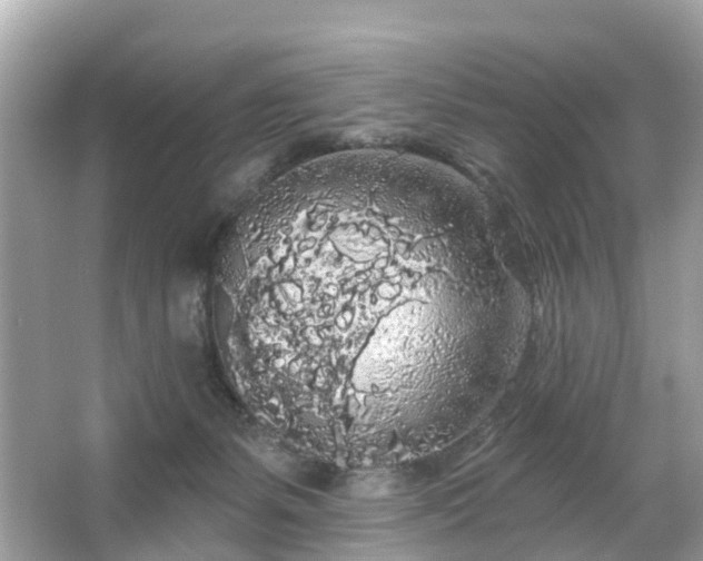 X0000066090127200603131214