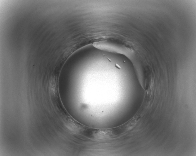 X0000066090129200603131214