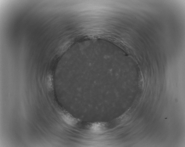 X0000066090130200603131214