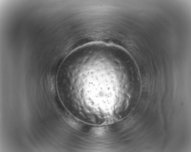 X0000066090131200603131214