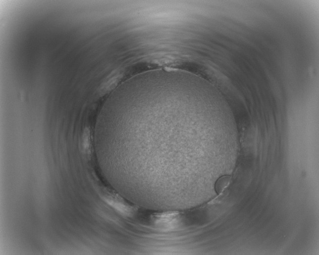 X0000066090132200603131214