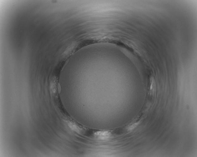 X0000066090133200603131214