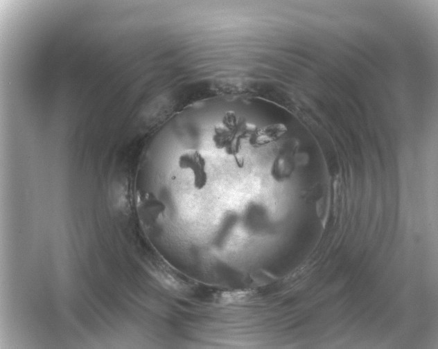 X0000066090134200603131213