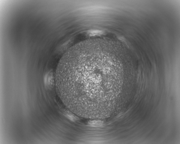 X0000066090137200603131213