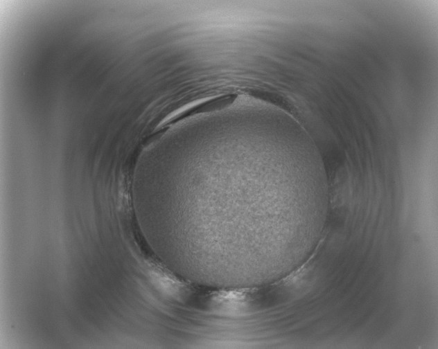 X0000066090140200603131213