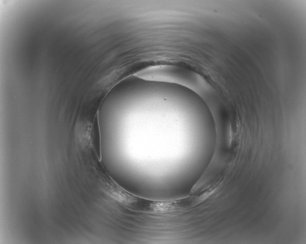 X0000066090141200603131213