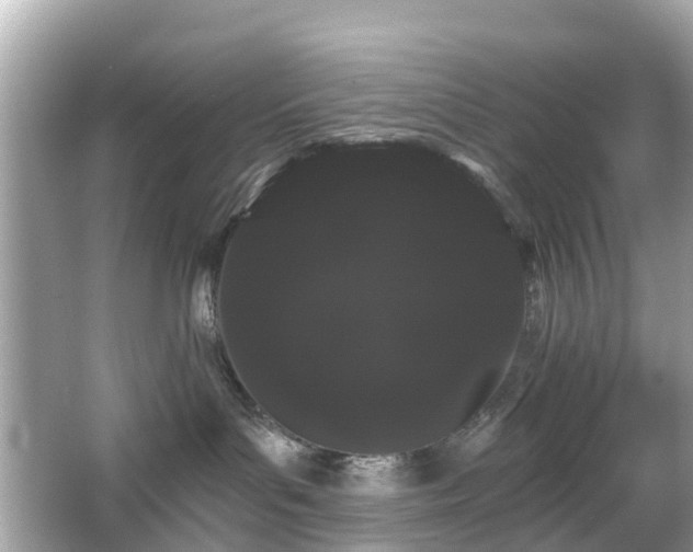 X0000066090143200603131213