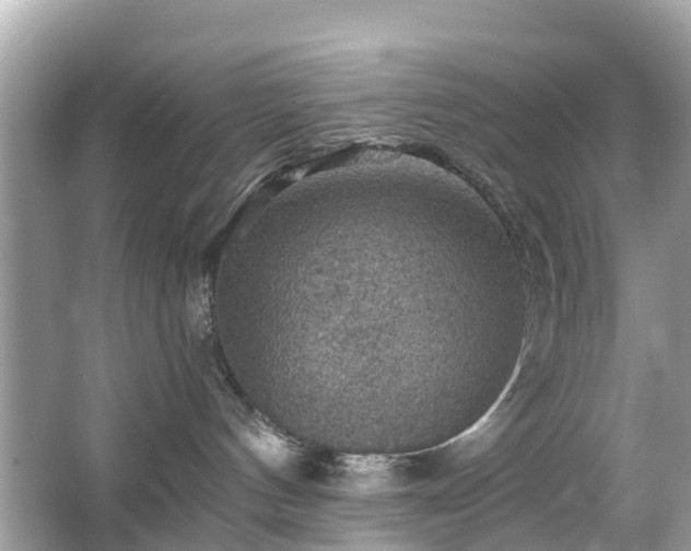 X0000066090144200603131213