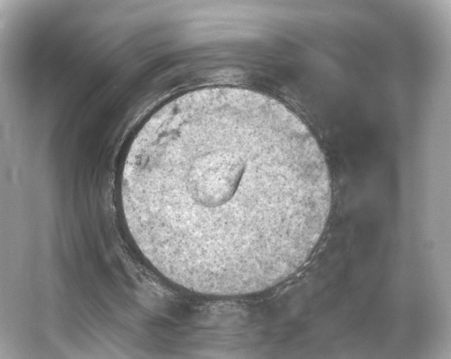 X0000066090146200603131213