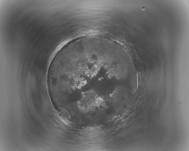 X0000066090147200603131213