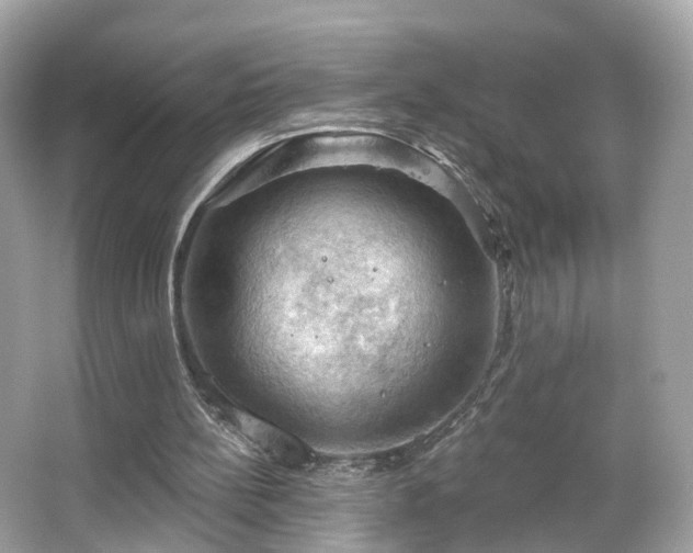 X0000066090148200603131213