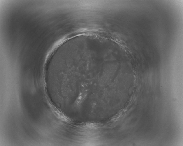 X0000066090149200603131213