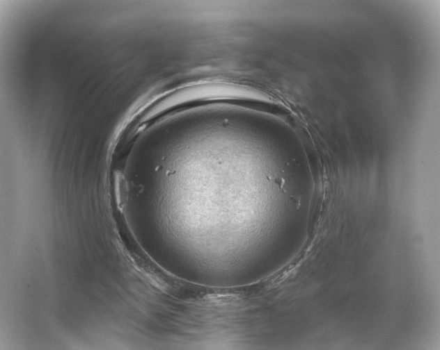 X0000066090150200603131213