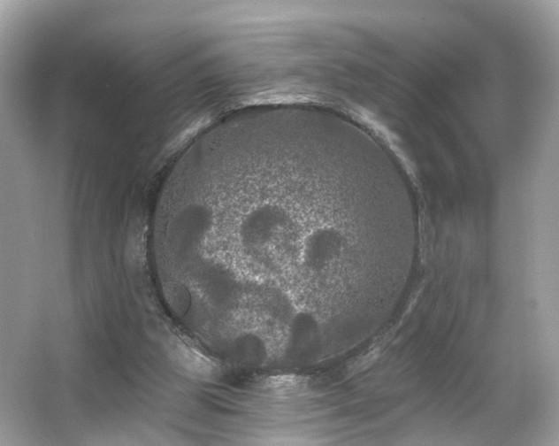 X0000066090153200603131213