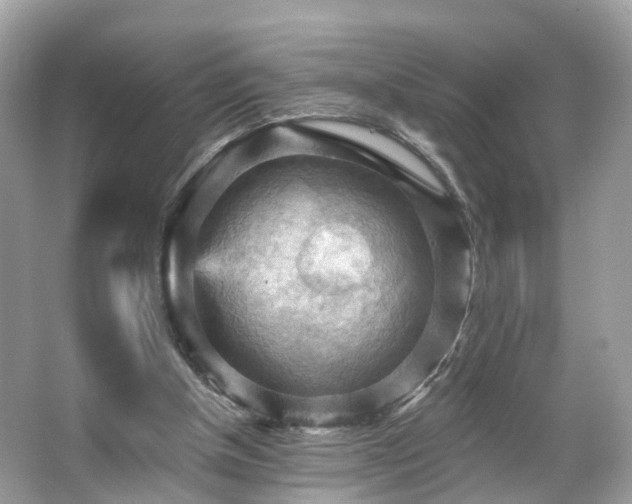 X0000066090154200603131213