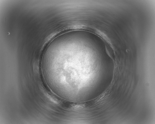 X0000066090155200603131213