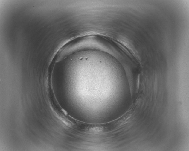 X0000066090156200603131213