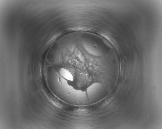 X0000066090157200603131213