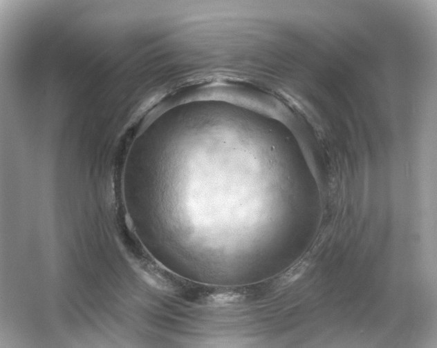 X0000066090158200603131213