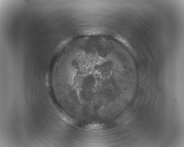 X0000066090161200603131213