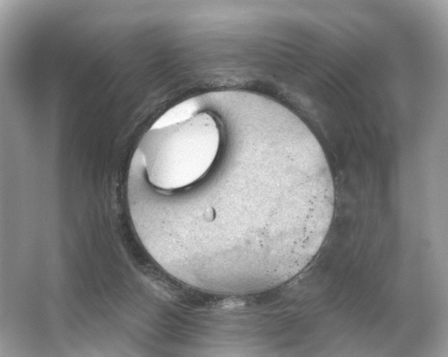 X0000066090162200603131213