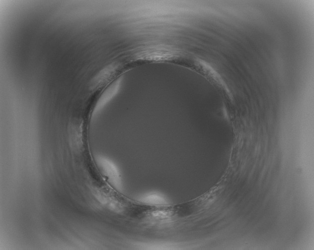 X0000066090163200603131213