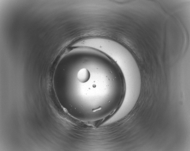 X0000066090164200603131213