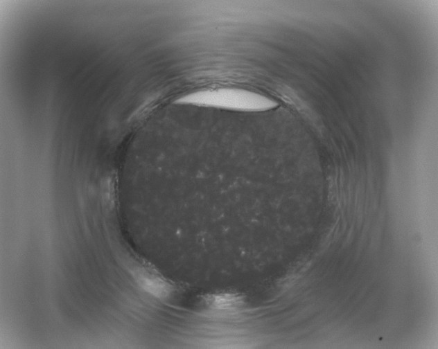 X0000066090165200603131213