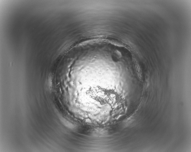 X0000066090166200603131213