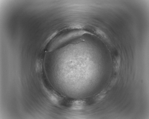 X0000066090168200603131213