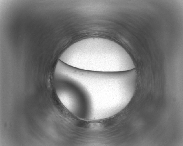 X0000066090169200603131213