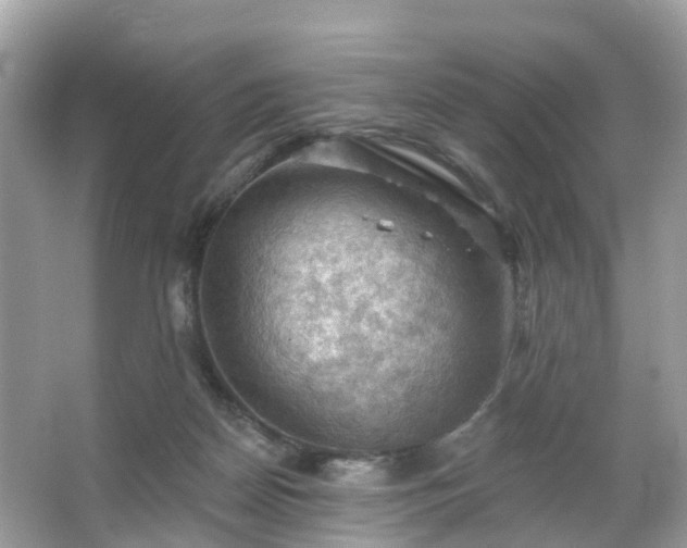 X0000066090170200603131213