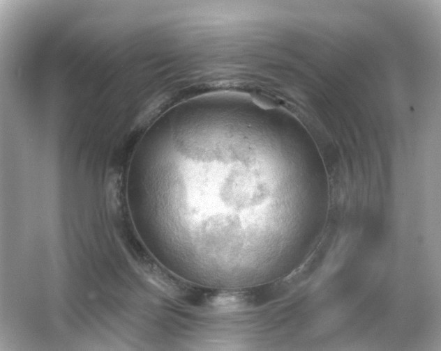 X0000066090171200603131213