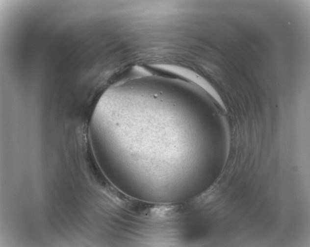 X0000066090172200603131213