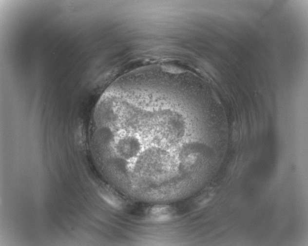 X0000066090173200603131213