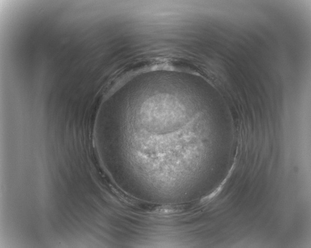 X0000066090174200603131213