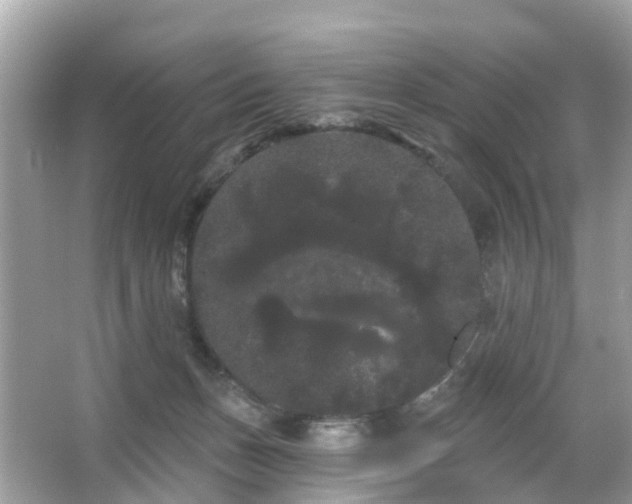 X0000066090175200603131213