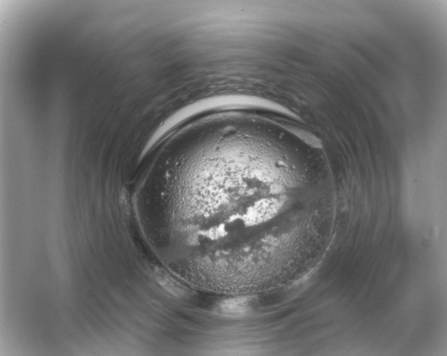 X0000066090178200603131213