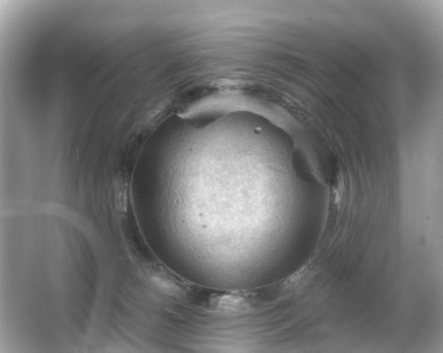 X0000066090180200603131213