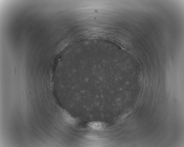 X0000066090181200603131213