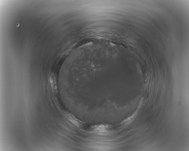 X0000066090182200603131213