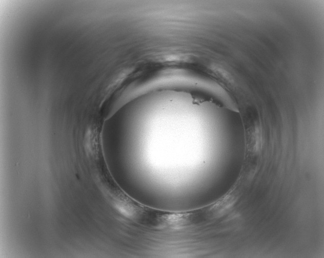 X0000066090184200603131213