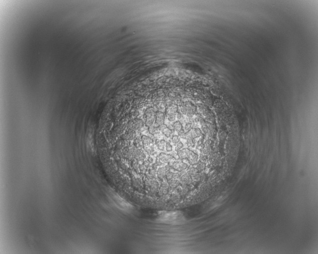 X0000066090185200603131213